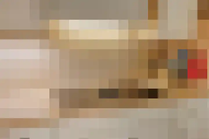Bremlaan 12 Oss thumbnail 28