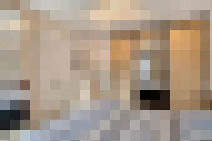 Bremlaan 12 Oss thumbnail 30
