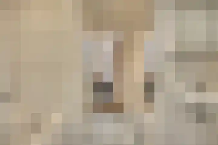 Bremlaan 12 Oss thumbnail 31
