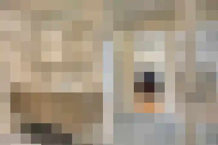 Bremlaan 12 Oss thumbnail 32