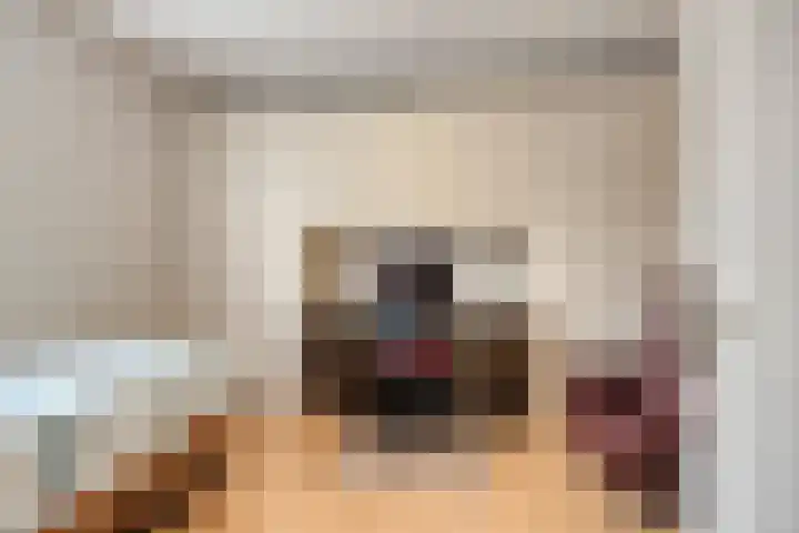 Bremlaan 12 Oss thumbnail 34
