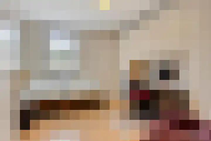 Bremlaan 12 Oss thumbnail 35
