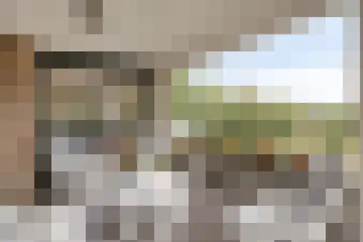Bremlaan 12 Oss thumbnail 37