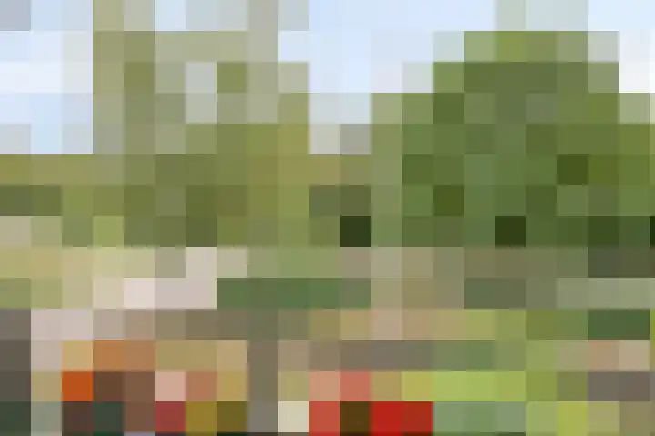 Bremlaan 12 Oss thumbnail 39