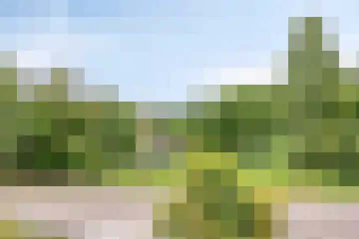 Bremlaan 12 Oss thumbnail 40