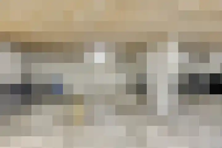 Bremlaan 12 Oss thumbnail 41