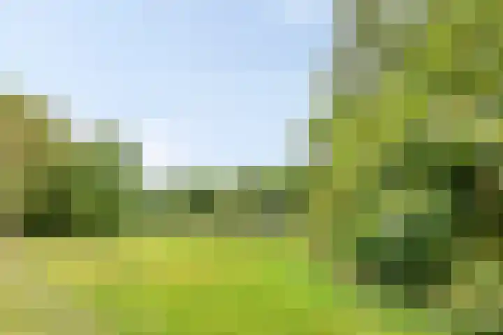 Bremlaan 12 Oss thumbnail 42