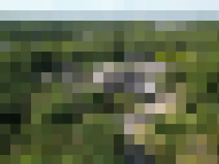 Bremlaan 12 Oss thumbnail 43