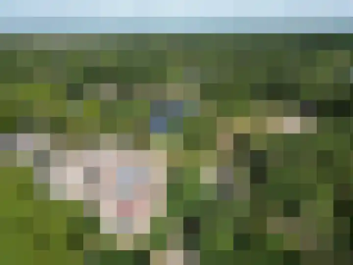 Bremlaan 12 Oss thumbnail 44
