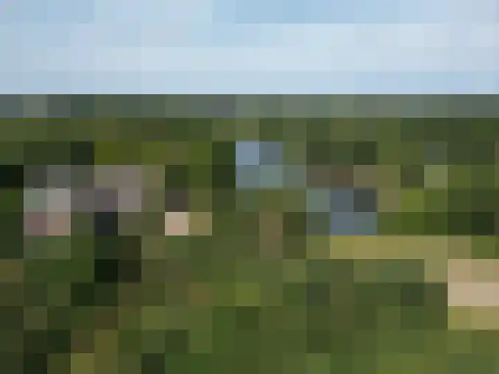 Bremlaan 12 Oss thumbnail 45