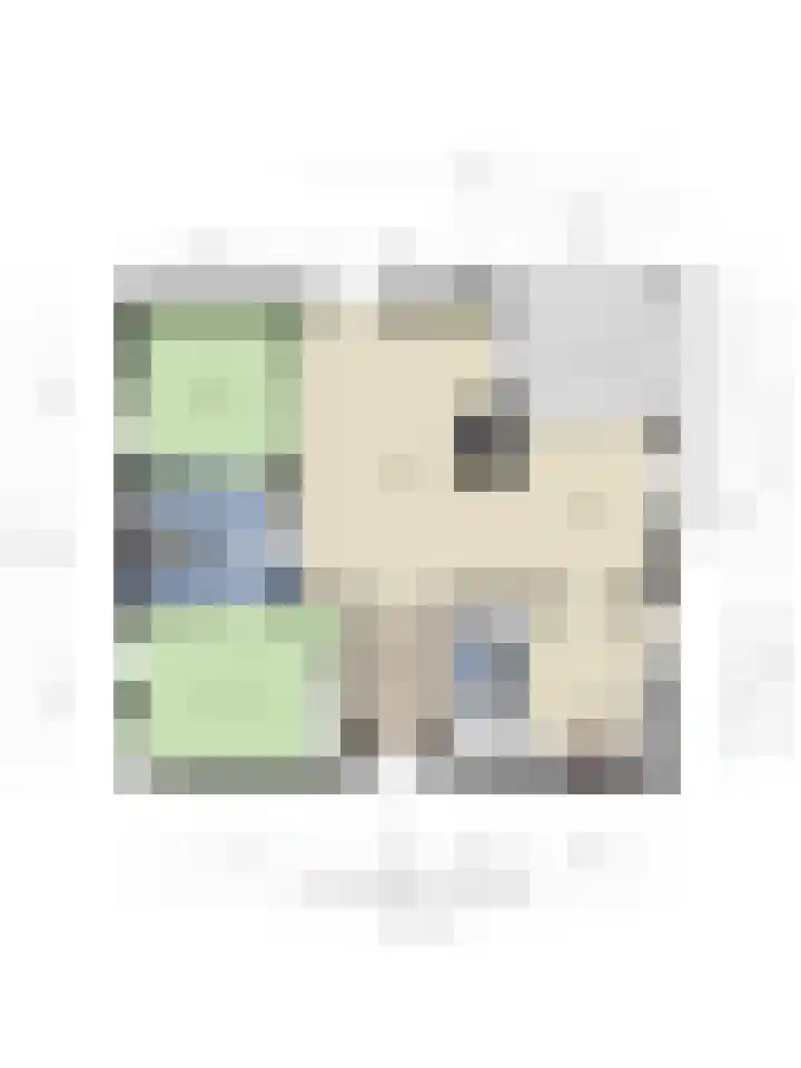 Bremlaan 12 Oss thumbnail 47