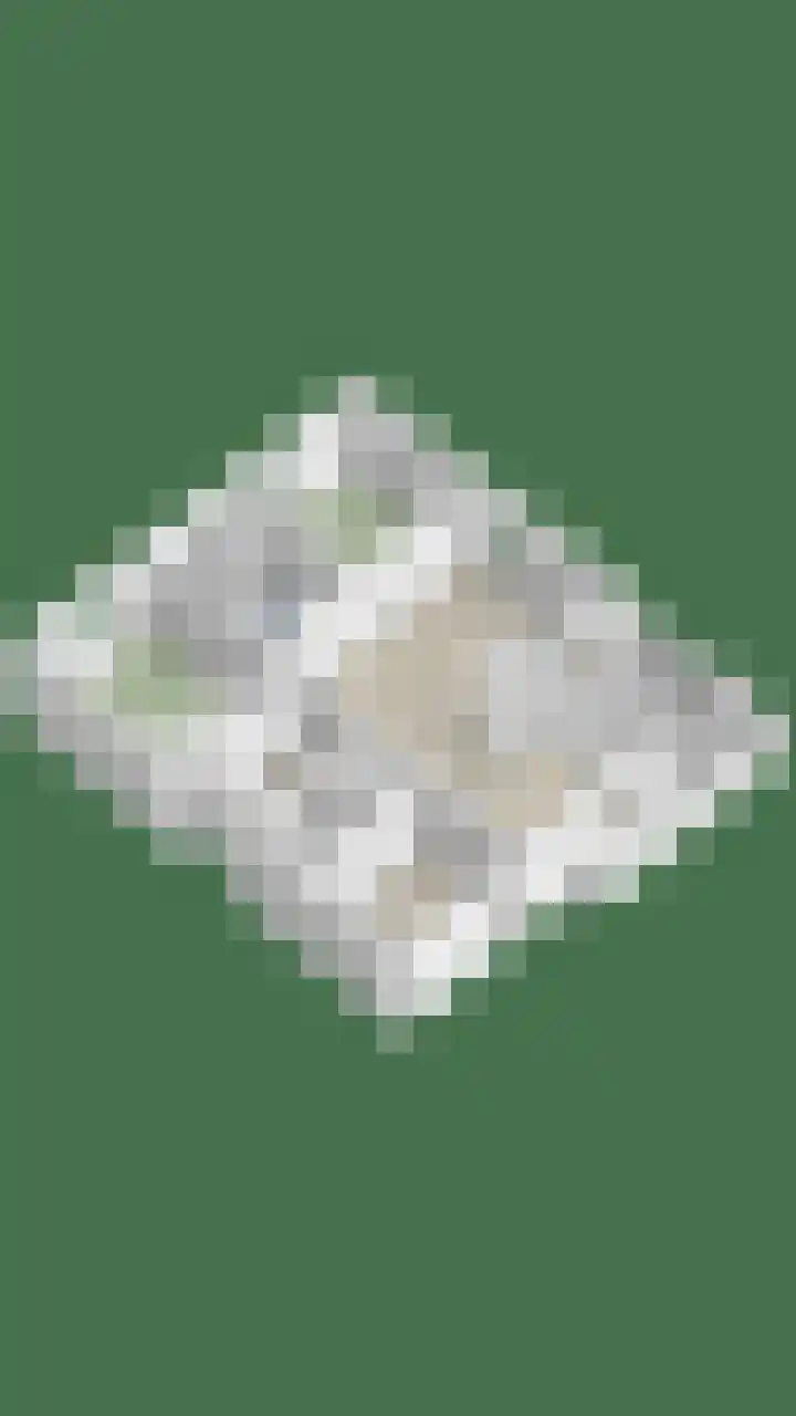 Bremlaan 12 Oss thumbnail 48