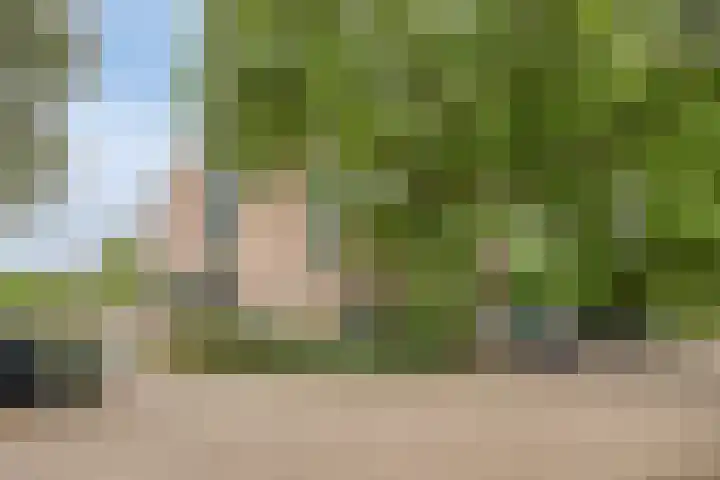 Bremlaan 12 Oss thumbnail 8