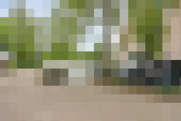 Bremlaan 12 Oss thumbnail 9