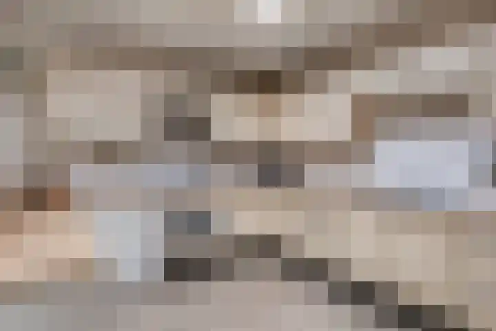 Bremlaan 13 Sint-Michielsgestel thumbnail 10