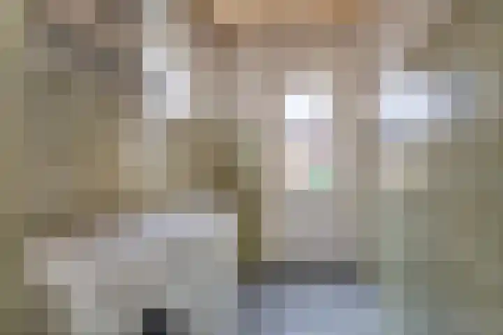 Bremlaan 13 Sint-Michielsgestel thumbnail 11