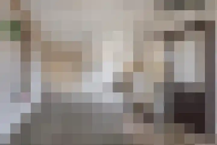 Bremlaan 13 Sint-Michielsgestel thumbnail 12