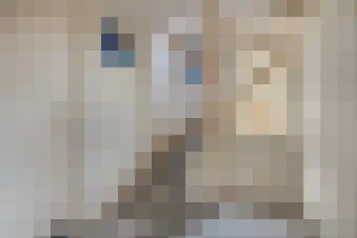 Bremlaan 13 Sint-Michielsgestel thumbnail 23