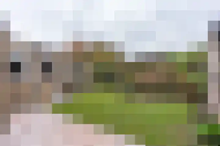 Bremlaan 13 Sint-Michielsgestel thumbnail 25
