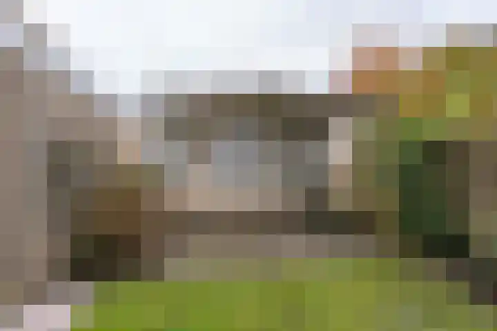 Bremlaan 13 Sint-Michielsgestel thumbnail 26