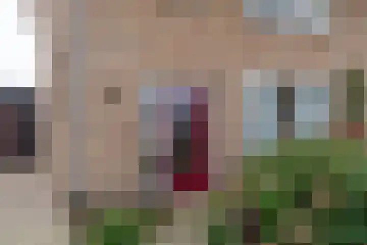 Bremlaan 13 Sint-Michielsgestel thumbnail 28