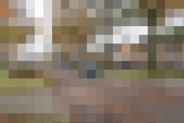 Bremlaan 13 Sint-Michielsgestel thumbnail 30