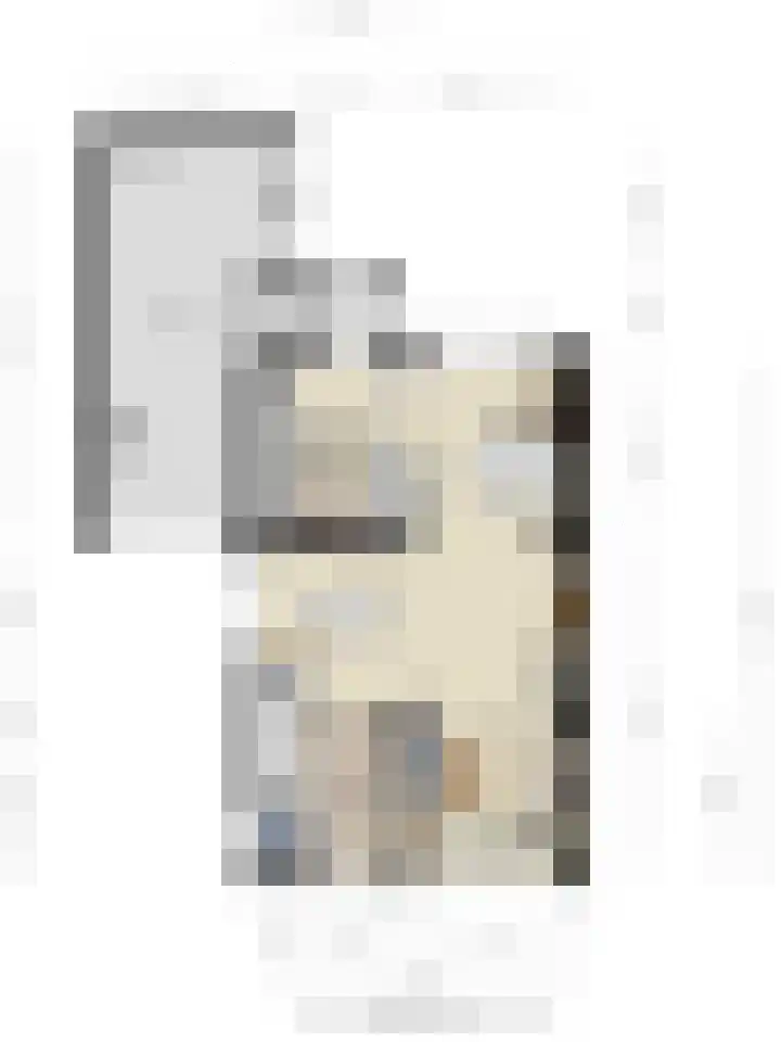 Bremlaan 13 Sint-Michielsgestel thumbnail 31