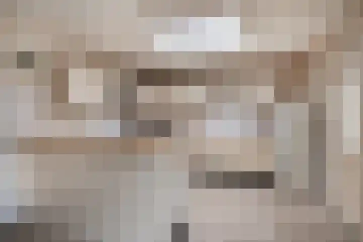 Bremlaan 13 Sint-Michielsgestel thumbnail 5