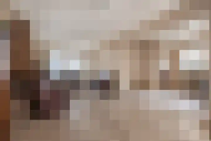 Bremlaan 13 Sint-Michielsgestel thumbnail 8