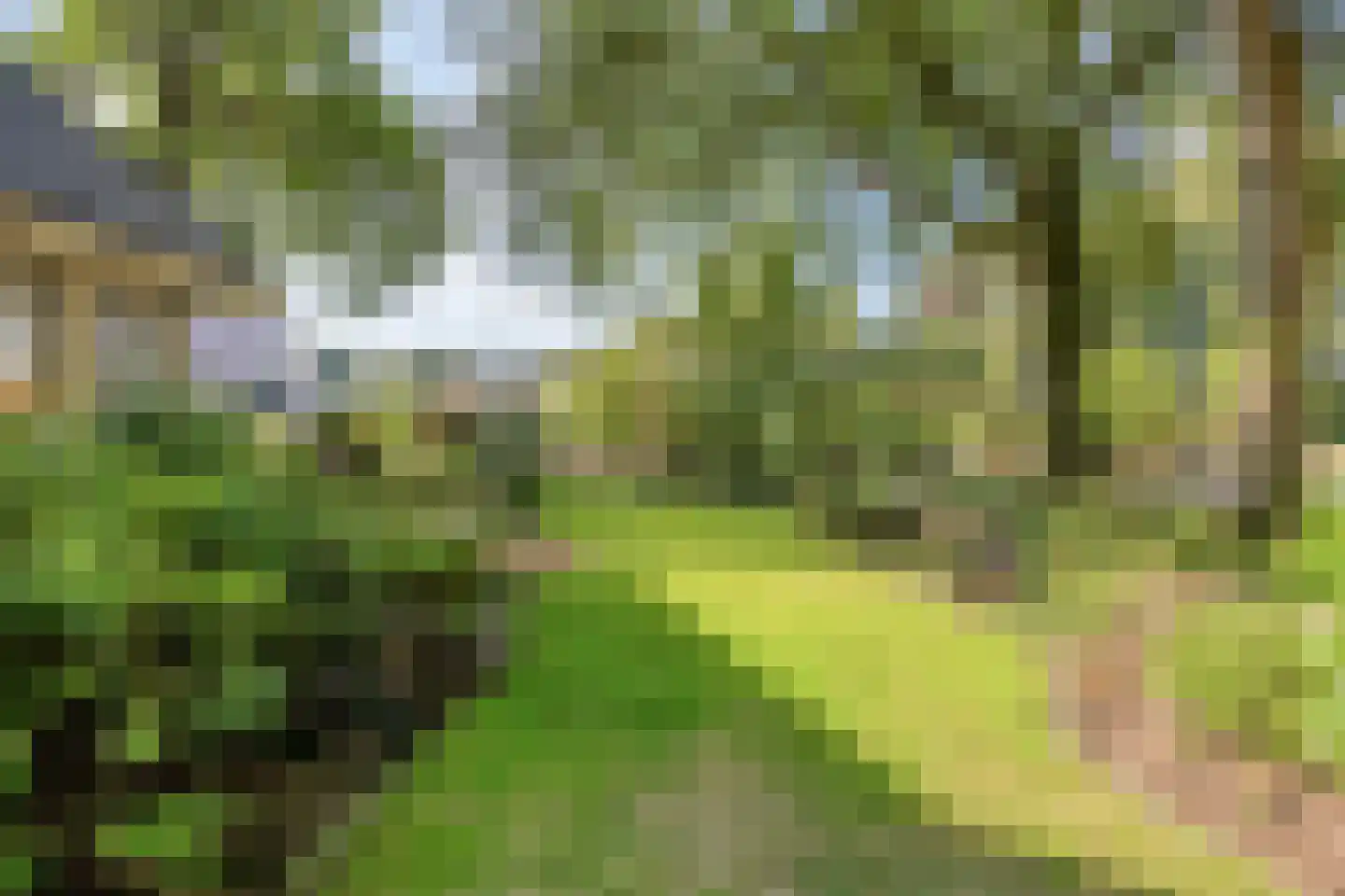 Bremlaan 14 Rhenen thumbnail 38