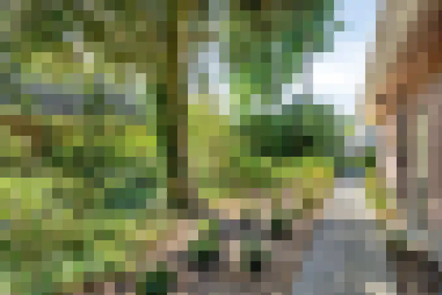 Bremlaan 14 Rhenen thumbnail 39