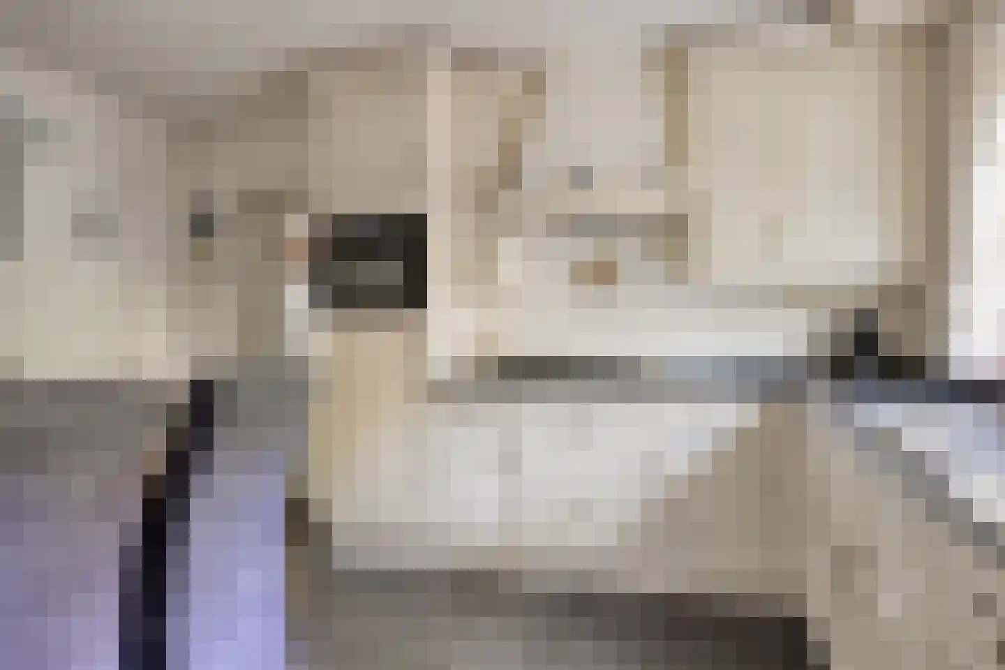 Bremlaan 14 Rhenen thumbnail 4