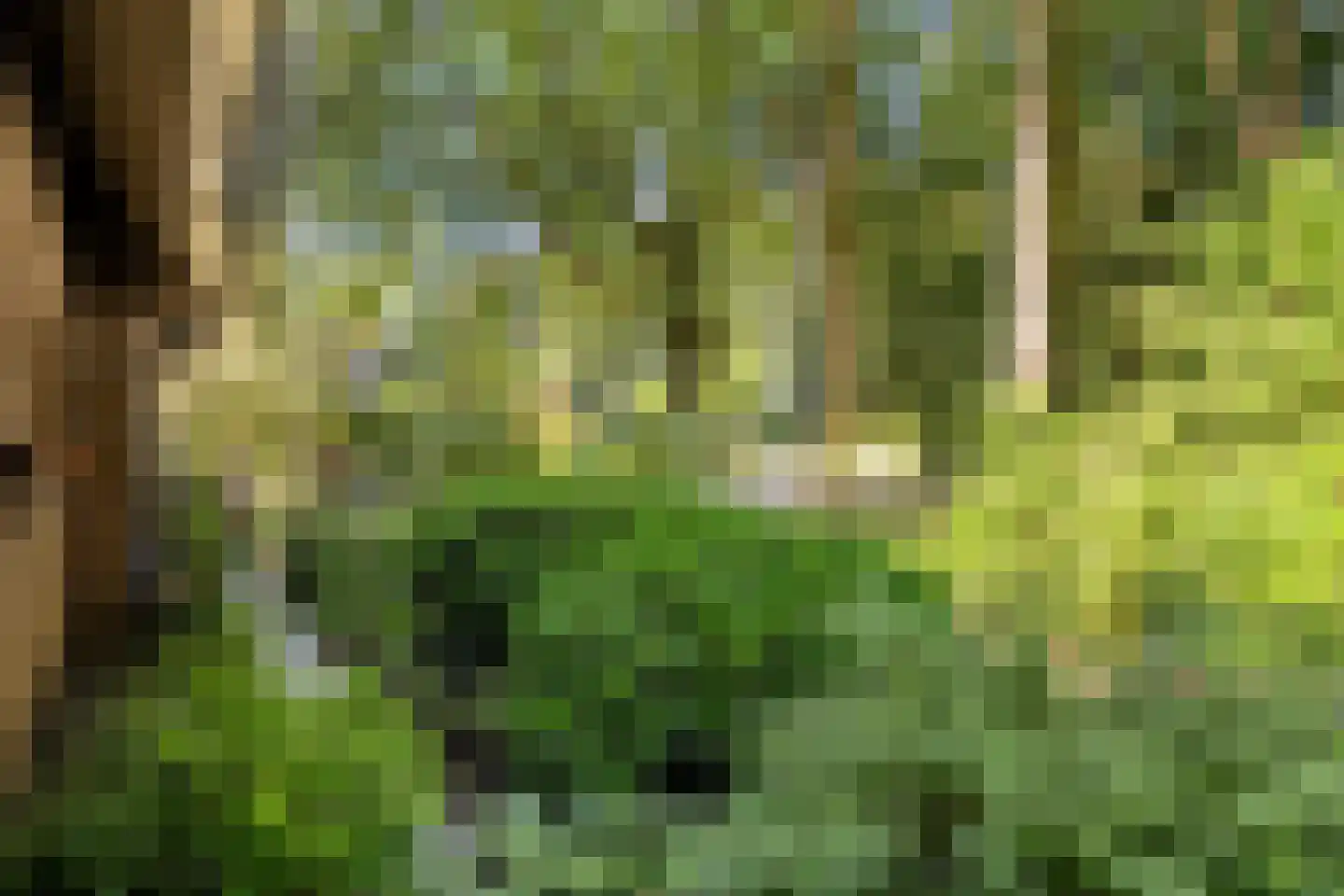 Bremlaan 14 Rhenen thumbnail 40