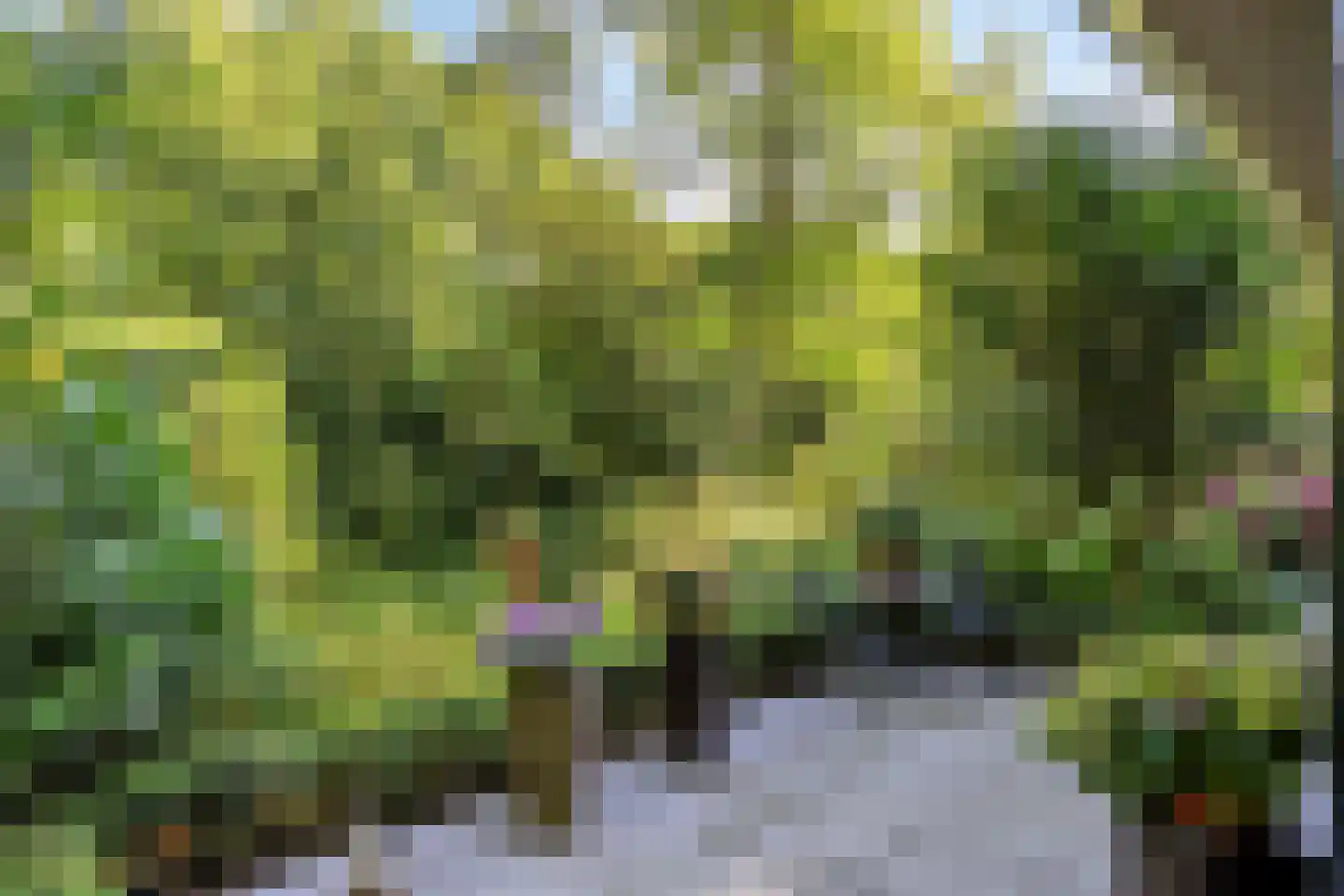 Bremlaan 14 Rhenen thumbnail 41