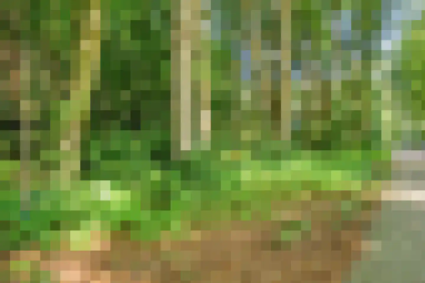 Bremlaan 14 Rhenen thumbnail 45