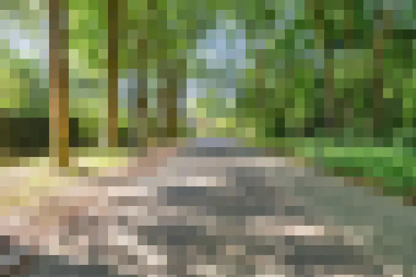 Bremlaan 14 Rhenen thumbnail 46