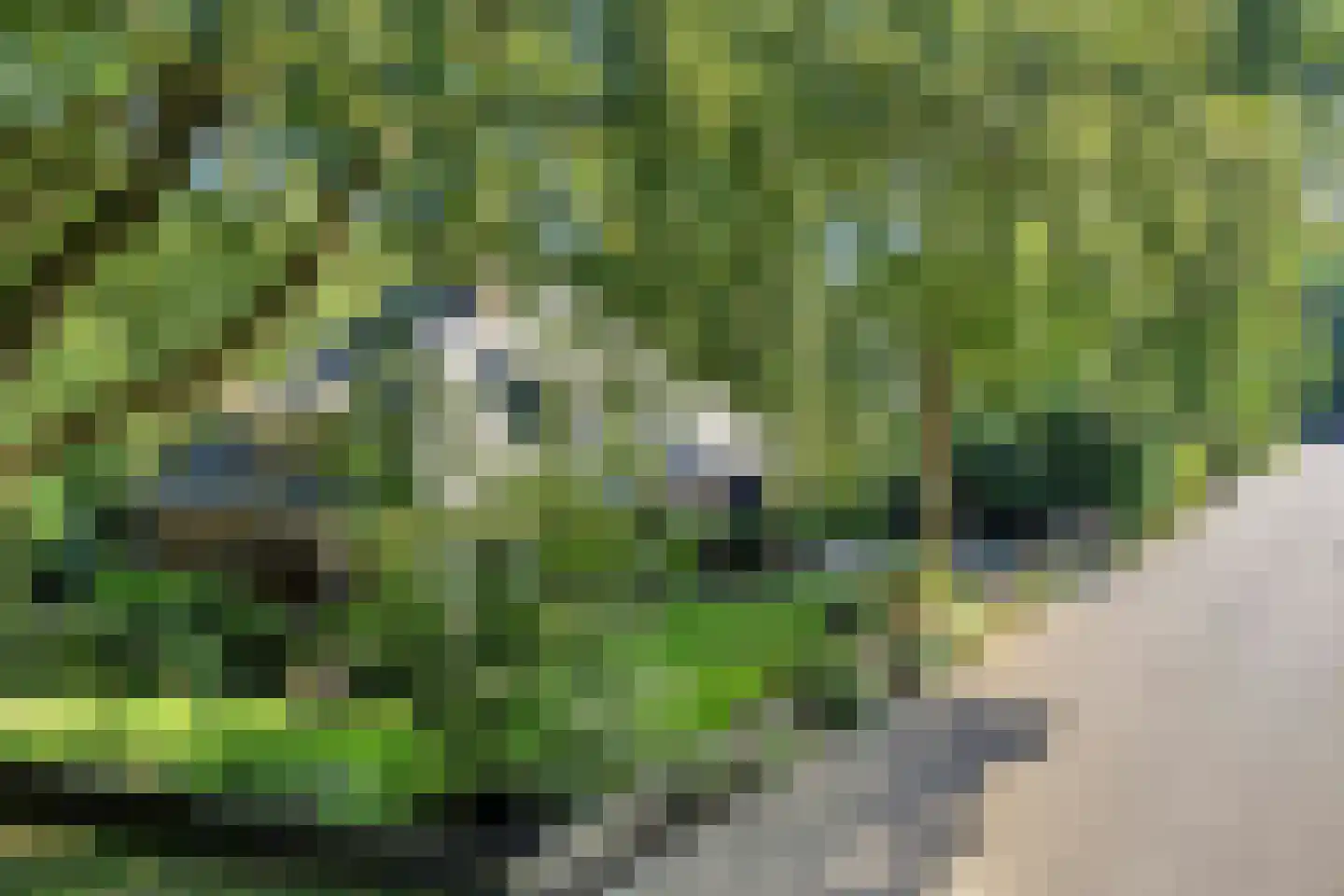 Bremlaan 14 Rhenen thumbnail 47