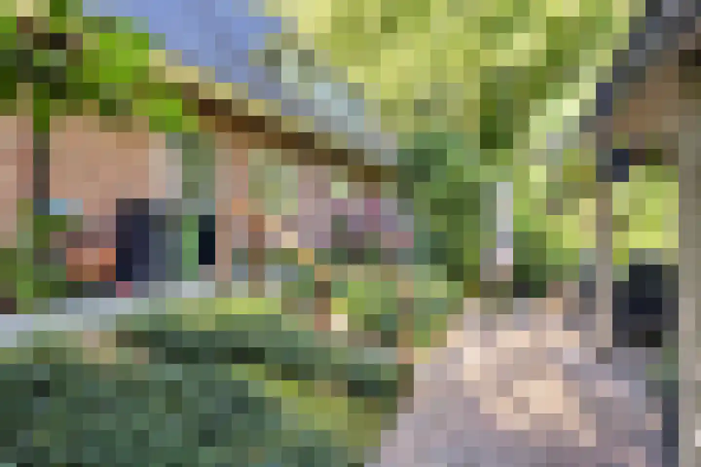 Bremlaan 14 Rhenen thumbnail 5