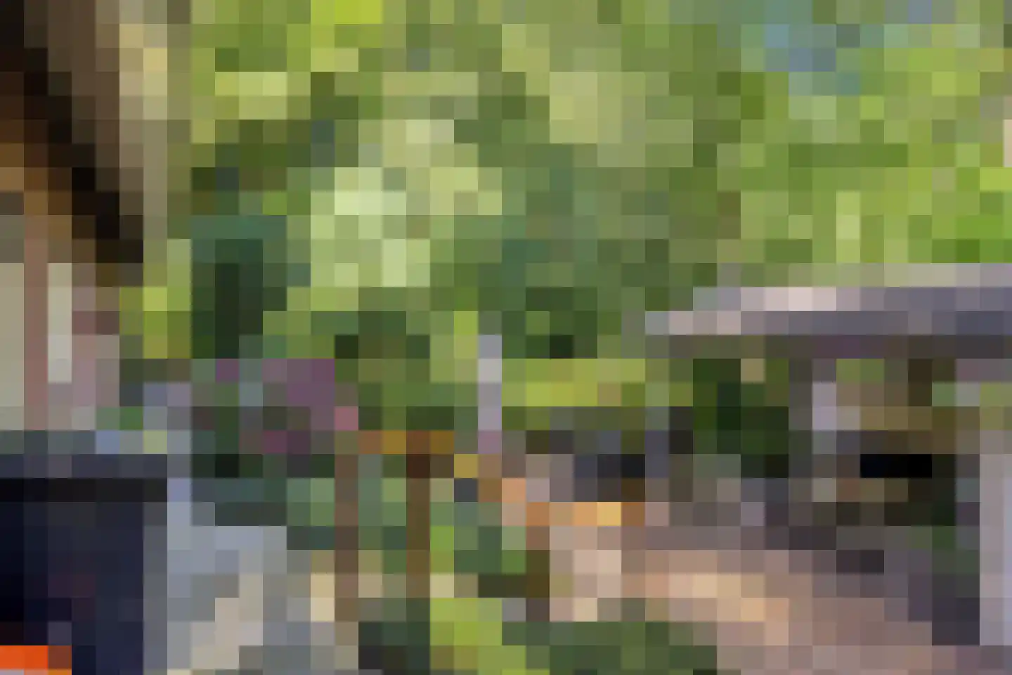 Bremlaan 14 Rhenen thumbnail 6
