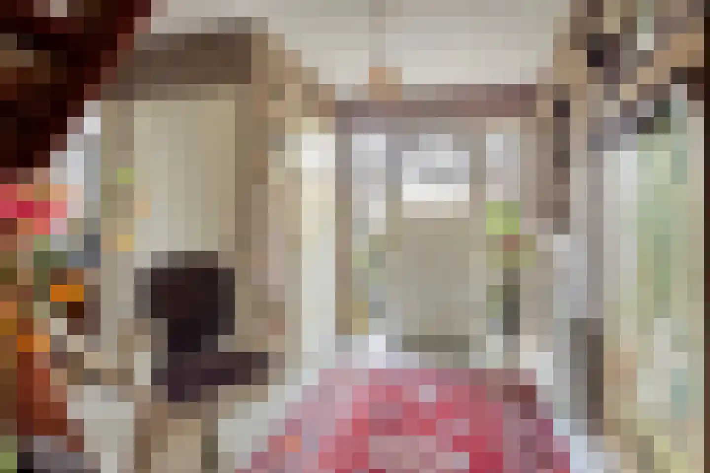 Bremlaan 14 Rhenen thumbnail 8