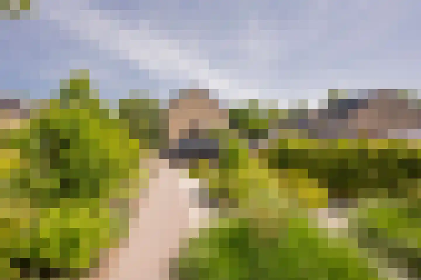 Bremlaan 15 Nijkerk thumbnail 10