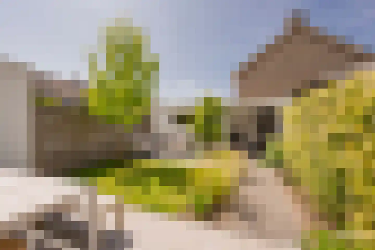 Bremlaan 15 Nijkerk thumbnail 12