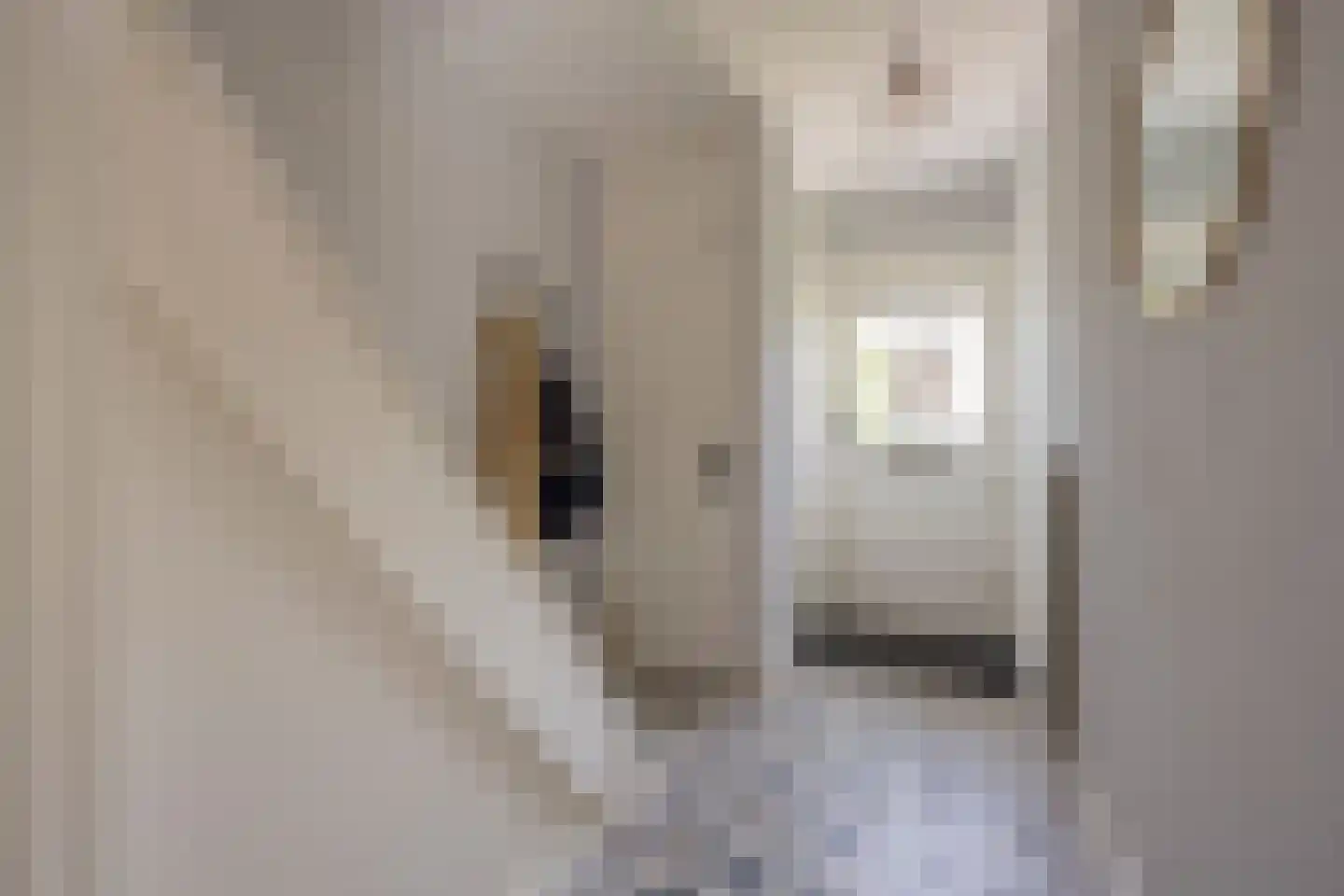 Bremlaan 15 Nijkerk thumbnail 13