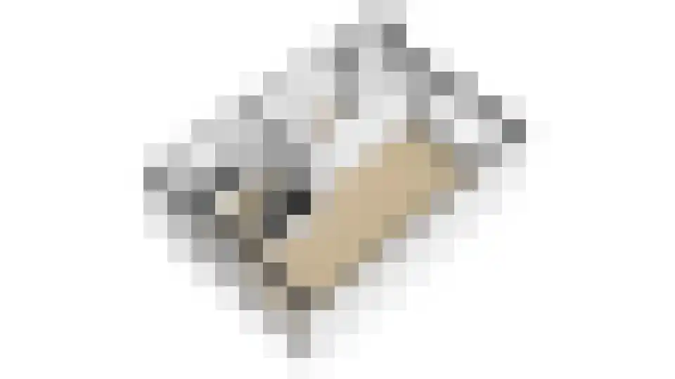 Bremlaan 15 Nijkerk thumbnail 39
