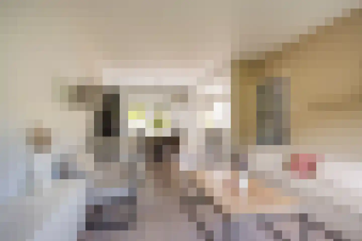 Bremlaan 15 Nijkerk thumbnail 4