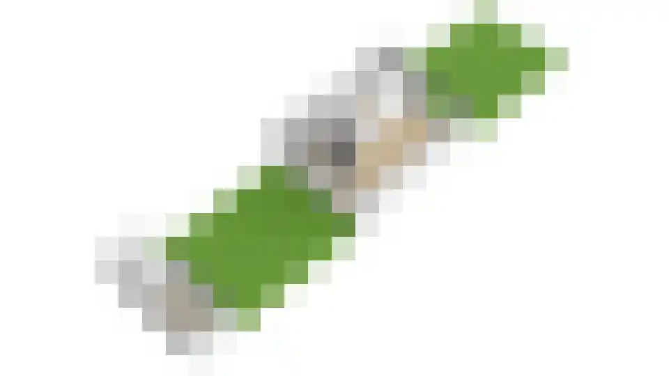 Bremlaan 15 Nijkerk thumbnail 48