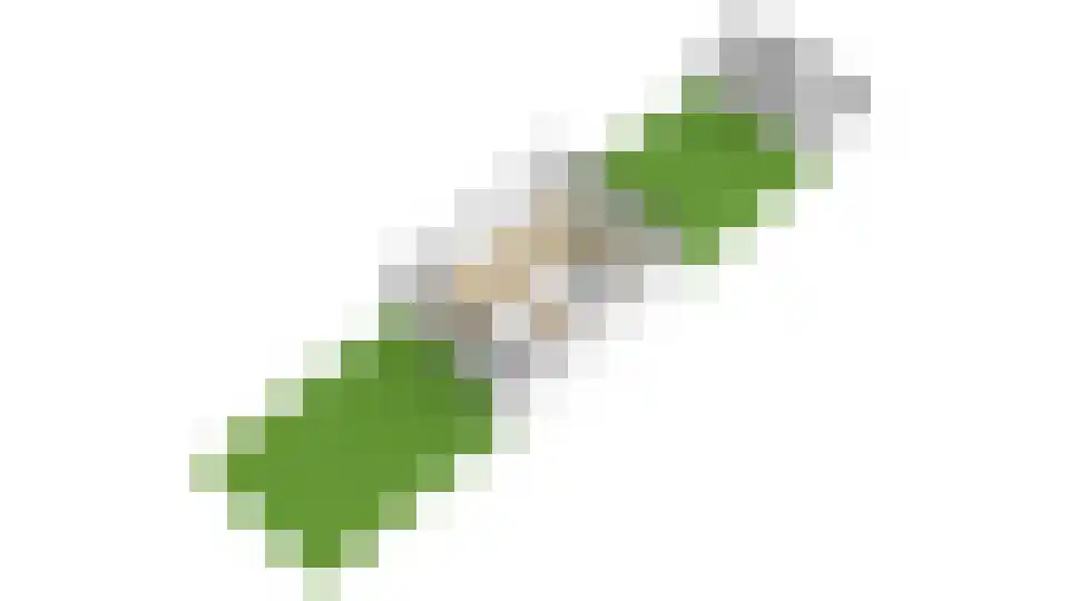 Bremlaan 15 Nijkerk thumbnail 49