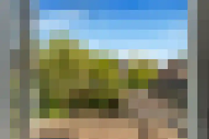 Bremlaan 18 Castricum thumbnail 24