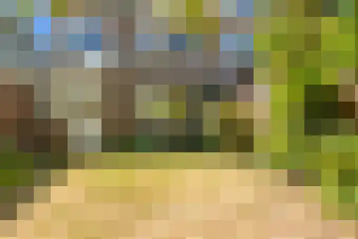 Bremlaan 18 Castricum thumbnail 34