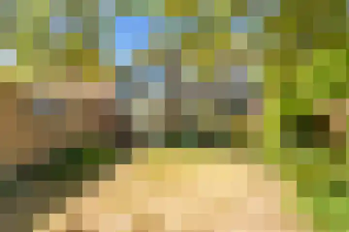 Bremlaan 18 Castricum thumbnail 35